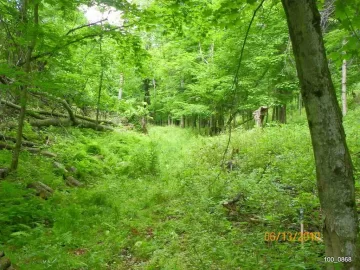 [Hearth.com] The Wife said Open up the Trail!