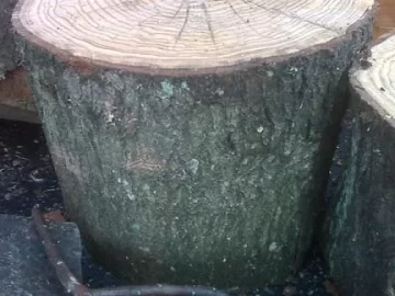 [Hearth.com] What kind of Oak?