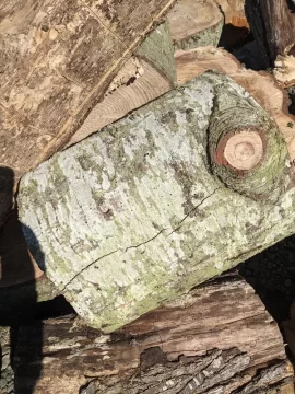 [Hearth.com] Anyone tell me what this is? Wood ID