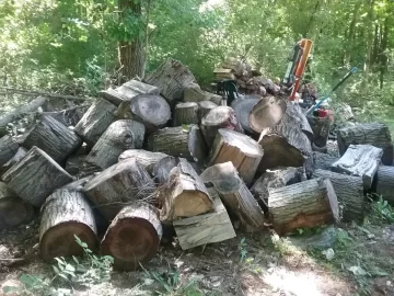 [Hearth.com] Can't believe no one wanted this red oak.