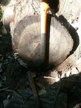 [Hearth.com] Can't believe no one wanted this red oak.