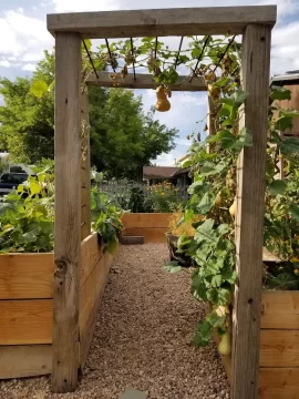 [Hearth.com] 2021 Garden Thread