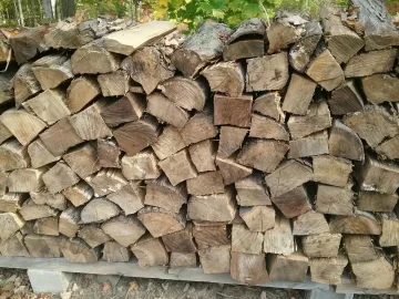 [Hearth.com] Wood drying already.