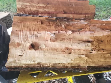 [Hearth.com] Wood identification