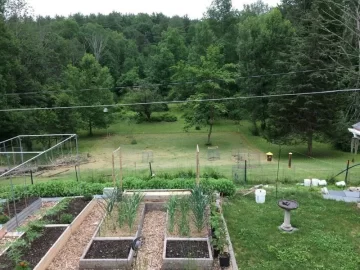 [Hearth.com] Does anyone have a food forest?