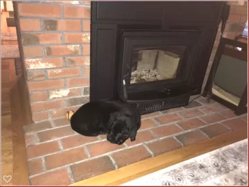 [Hearth.com] Puppies and stoves