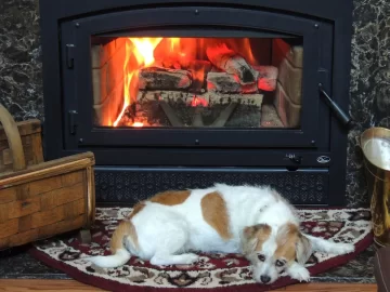 [Hearth.com] Puppies and stoves