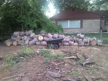 [Hearth.com] Jimmys pile o pine