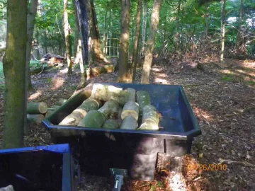 [Hearth.com] Sugar Maple Done!