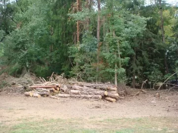 [Hearth.com] Made room for a wood shed... and got some wood too!