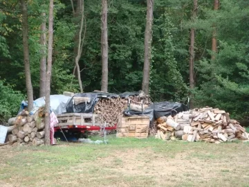 [Hearth.com] Made room for a wood shed... and got some wood too!