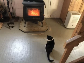 [Hearth.com] Cat vs woodstove