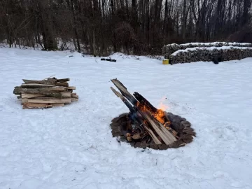 [Hearth.com] Dropping standing dead ash and cherry during the winter