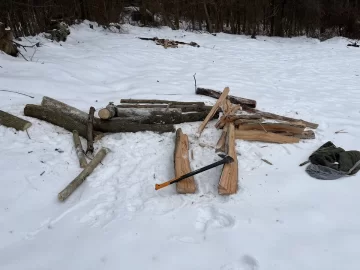 [Hearth.com] Dropping standing dead ash and cherry during the winter