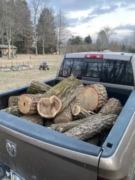 [Hearth.com] Tree ID and think it’s burn worthy?