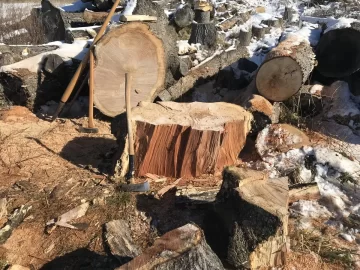 [Hearth.com] How to roll super large logs to buck? By hand.