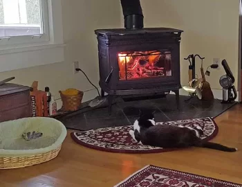 [Hearth.com] Floor is burning hot in front of stove