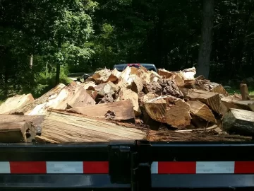 [Hearth.com] Part of massive hickory score from last summer.