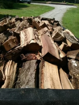 [Hearth.com] Part of massive hickory score from last summer.