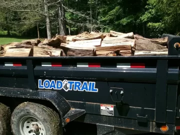 [Hearth.com] Part of massive hickory score from last summer.