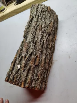 [Hearth.com] Wood ID help