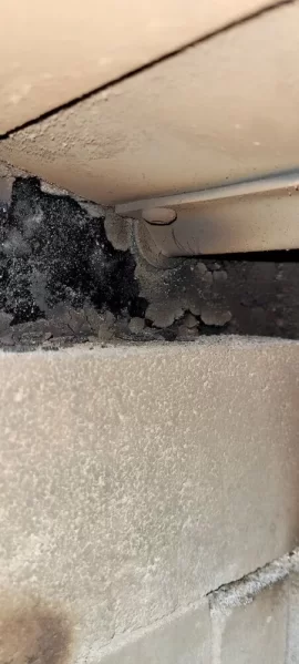 [Hearth.com] Drolet Myriad (Circa 2014) Creosote between stovetop and baffle plate