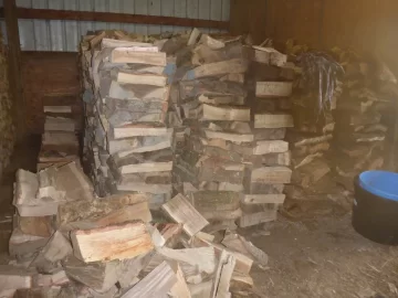 [Hearth.com] My opinion of the Champion 27 ton log splitter from Home Depot.