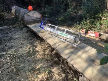 [Hearth.com] Removing my 6'7" coastal redwood yard tree