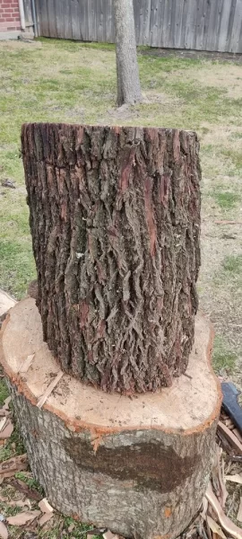 [Hearth.com] Some kind of Oak maybe?(Wood ID)