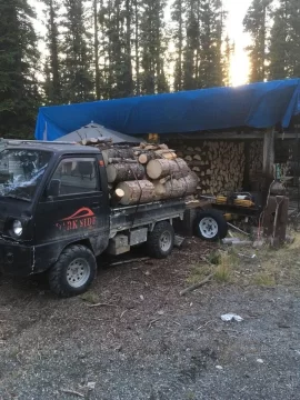 [Hearth.com] 5hp Off-road redneck firewood hauler thoughts with background, would it really work FOR ME?