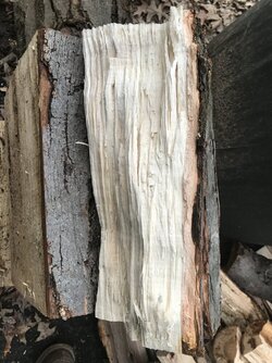 What kind of wood is this