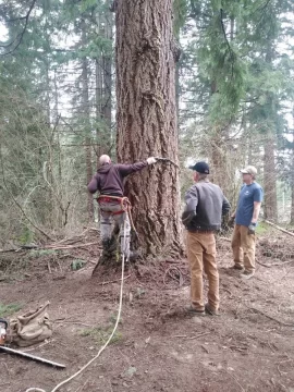 [Hearth.com] Backyard logging