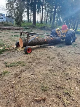 [Hearth.com] Backyard logging