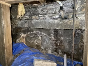 [Hearth.com] What’s this in my basement?!