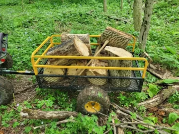 [Hearth.com] Massive red elm down.