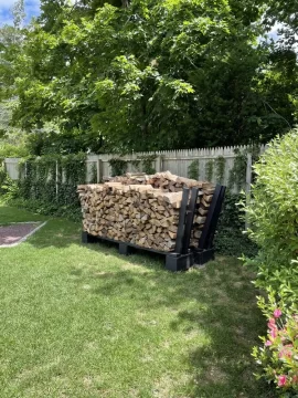 [Hearth.com] Think this wood will be ready for winter burning?