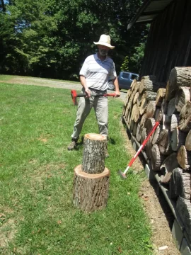 [Hearth.com] Tree ID Please