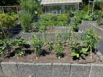 [Hearth.com] Garden 2x6 Raised bed rotted and fell over after 30 years