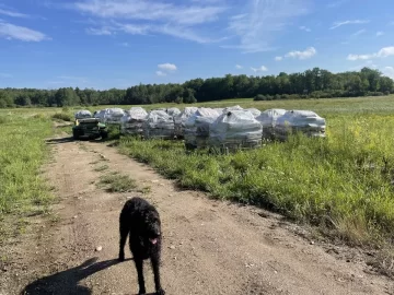 [Hearth.com] Solar kiln for hardwoods part deux