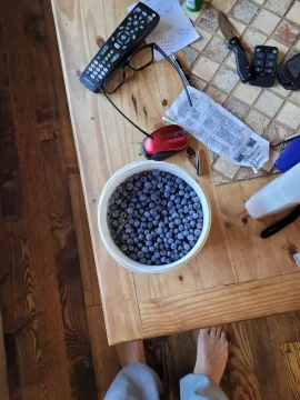 [Hearth.com] Blueberries