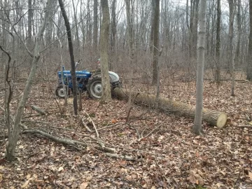 [Hearth.com] Too many trees getting hung up