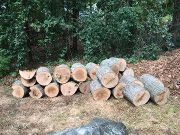 [Hearth.com] Drying oak rounds (12"-20" diameter)