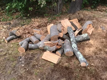 [Hearth.com] Drying oak rounds (12"-20" diameter)