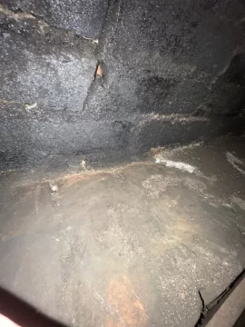 [Hearth.com] Chimney swept today. How'd they do?