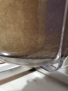 [Hearth.com] Well water sediment filter change