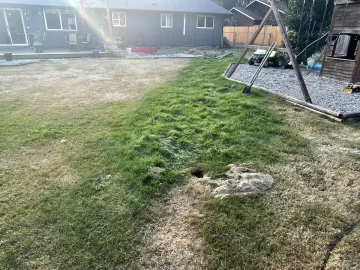 [Hearth.com] Grass is always greener...... Over septic drain field?