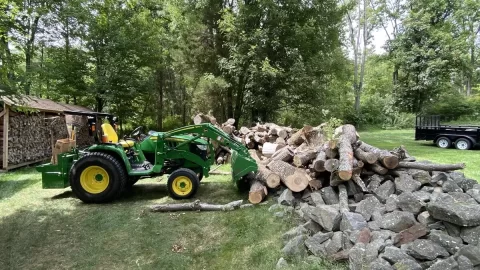 [Hearth.com] Tree Felling