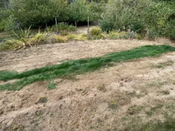 [Hearth.com] Grass is always greener...... Over septic drain field?