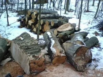 [Hearth.com] Update: The big red oak...