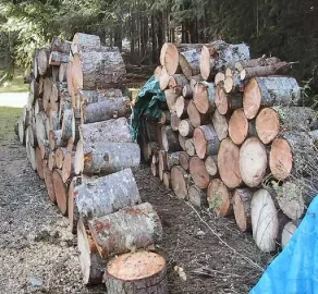 [Hearth.com] Cutting Limbs to Size